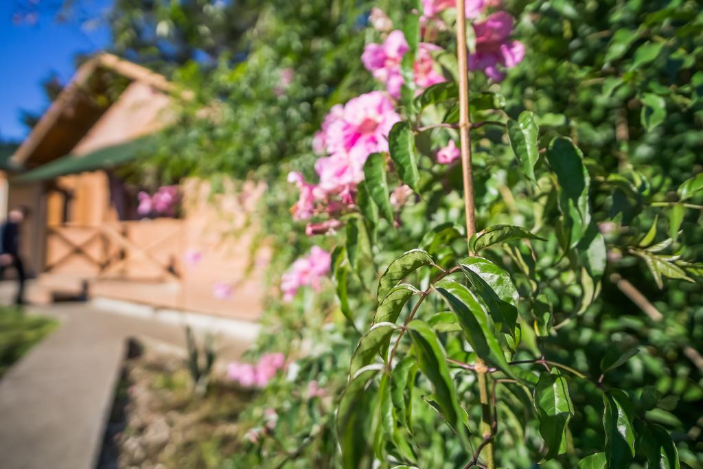 Pousada Recanto Da Serra - Unidade Campestre Vila Urubici Exterior foto